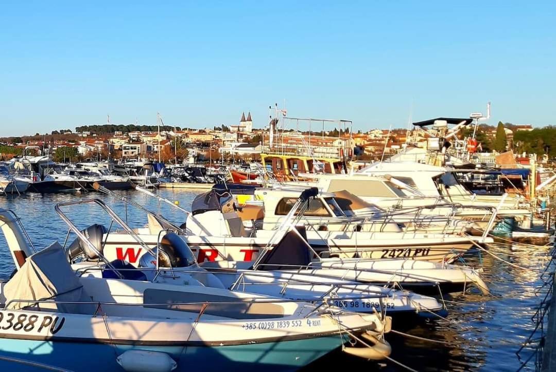 Apartman Ema Istriana ميدولين المظهر الخارجي الصورة